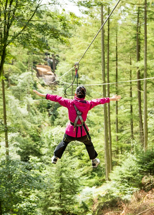 Virgin Experience Days Tree-top Challenge for Two with Go Ape - No Size Image 2