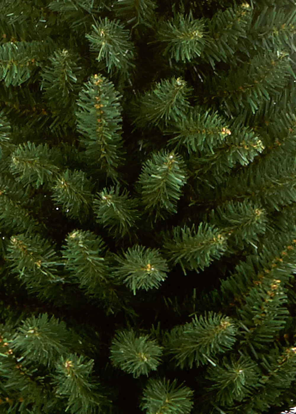 Premier Decorations 1.7m Green Pencil Pine Christmas Tree - One Size Image 3