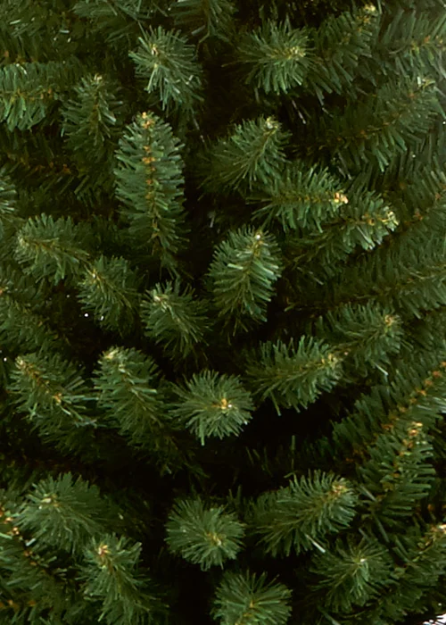 Premier Decorations 1.7m Green Pencil Pine Christmas Tree - One Size Image 3