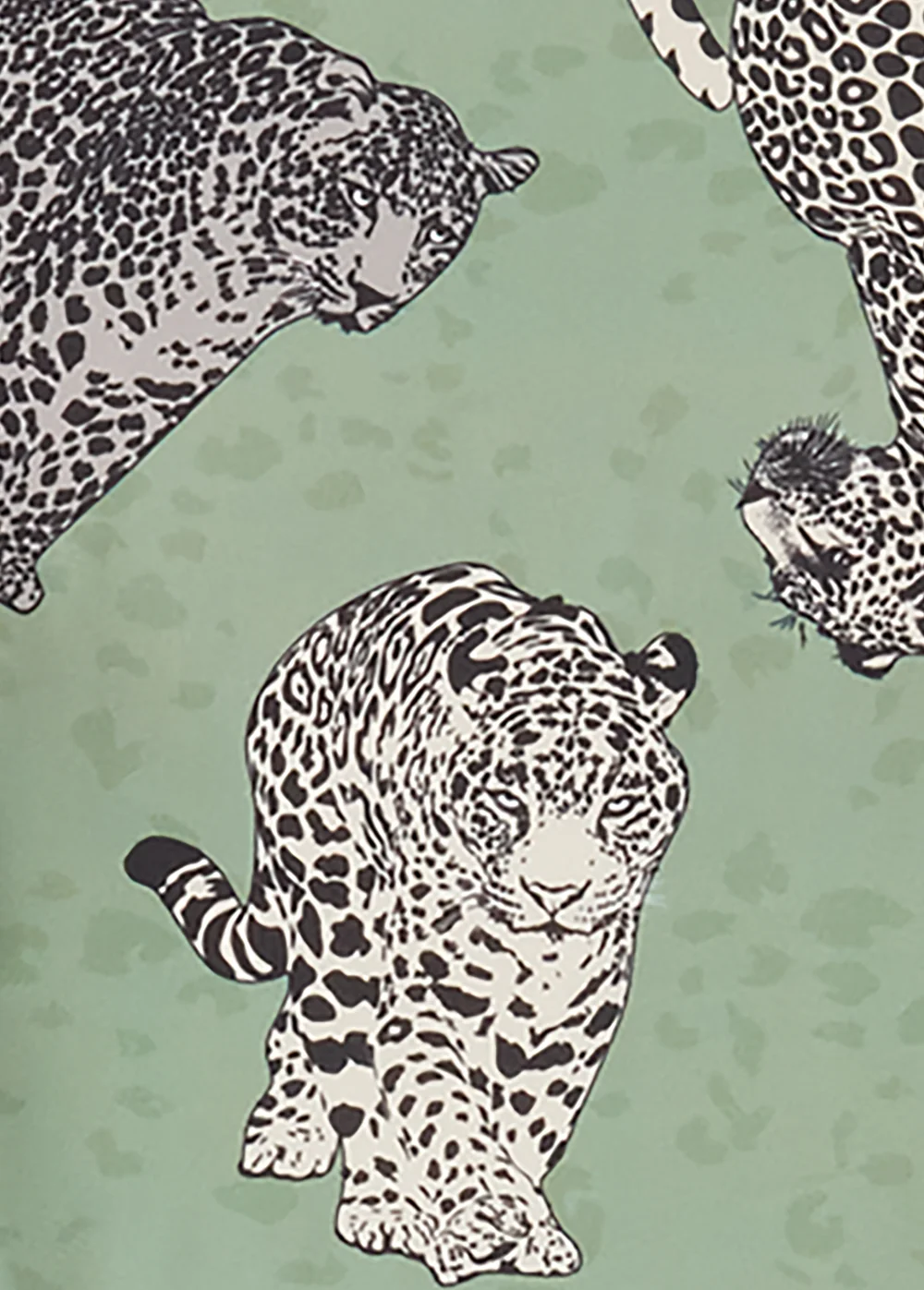 Khaki Leopard Print Pyjama Set - Extra small Image 5