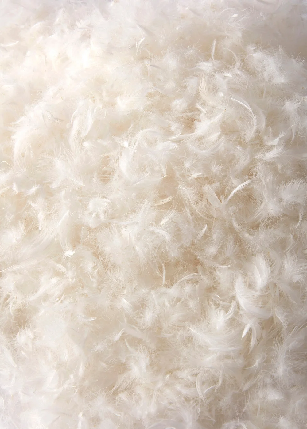 BHS Goose Down Duvet Duvet 10.5 Tog - Double Image 4