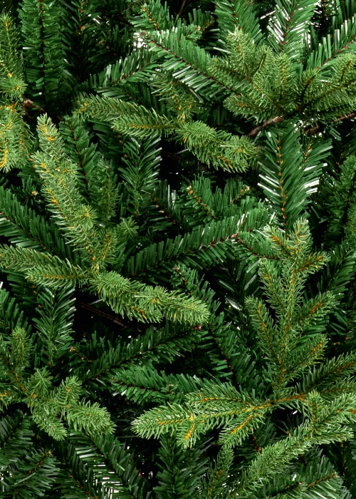 Premier Decorations Glenwood Spruce Christmas Tree 6ft - 6ft Image 3