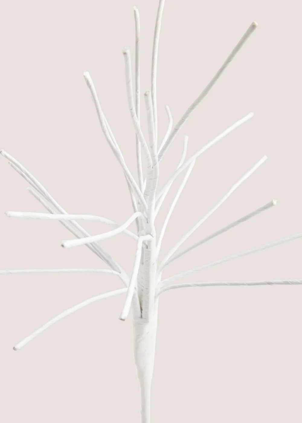 White Twig Tree Image 2