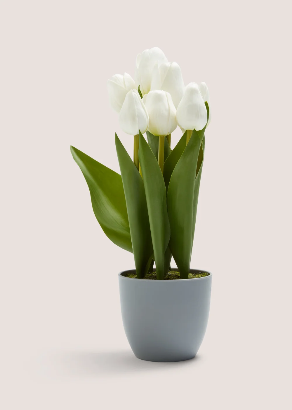 Tulips in Grey Pot Image 1