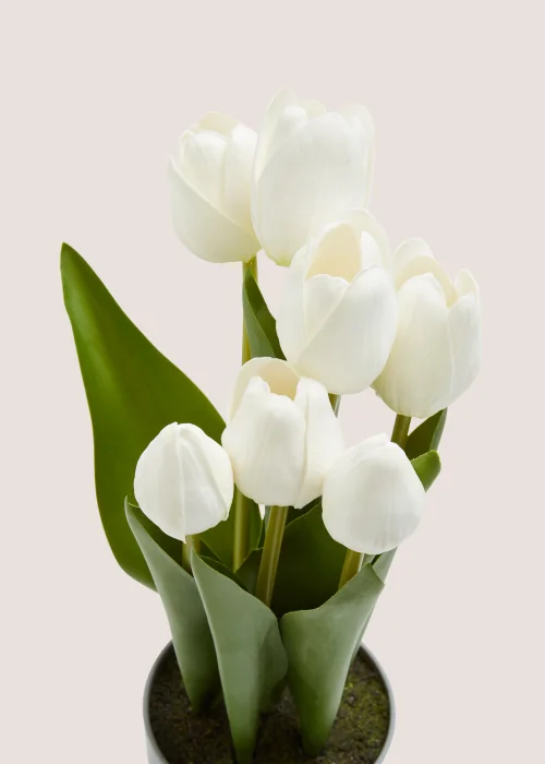 Tulips in Grey Pot Image 2