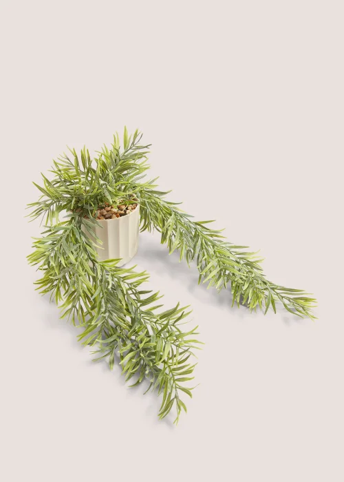 Trailing Plant in Natural Pot Image 1