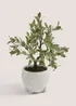 Bonsai Tree in White Pot (33cm x 21cm x 27cm) Image 1