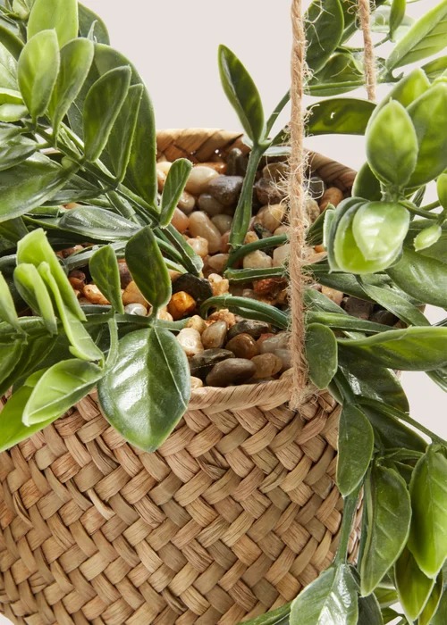 Woven Retreat Hanging Plant (71cm x 11cm x 11cm) Image 2