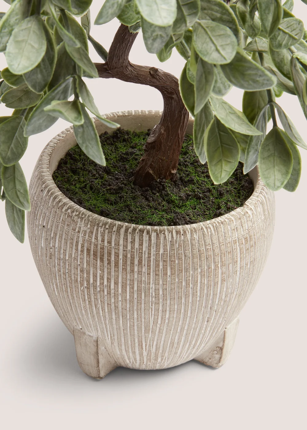 Cabana Bonsai Tree (30cm x 30cm x 19cm) Image 2