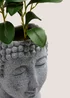 Grey Buddha Head Plant (70cm x 21cm x 12cm) Image 2