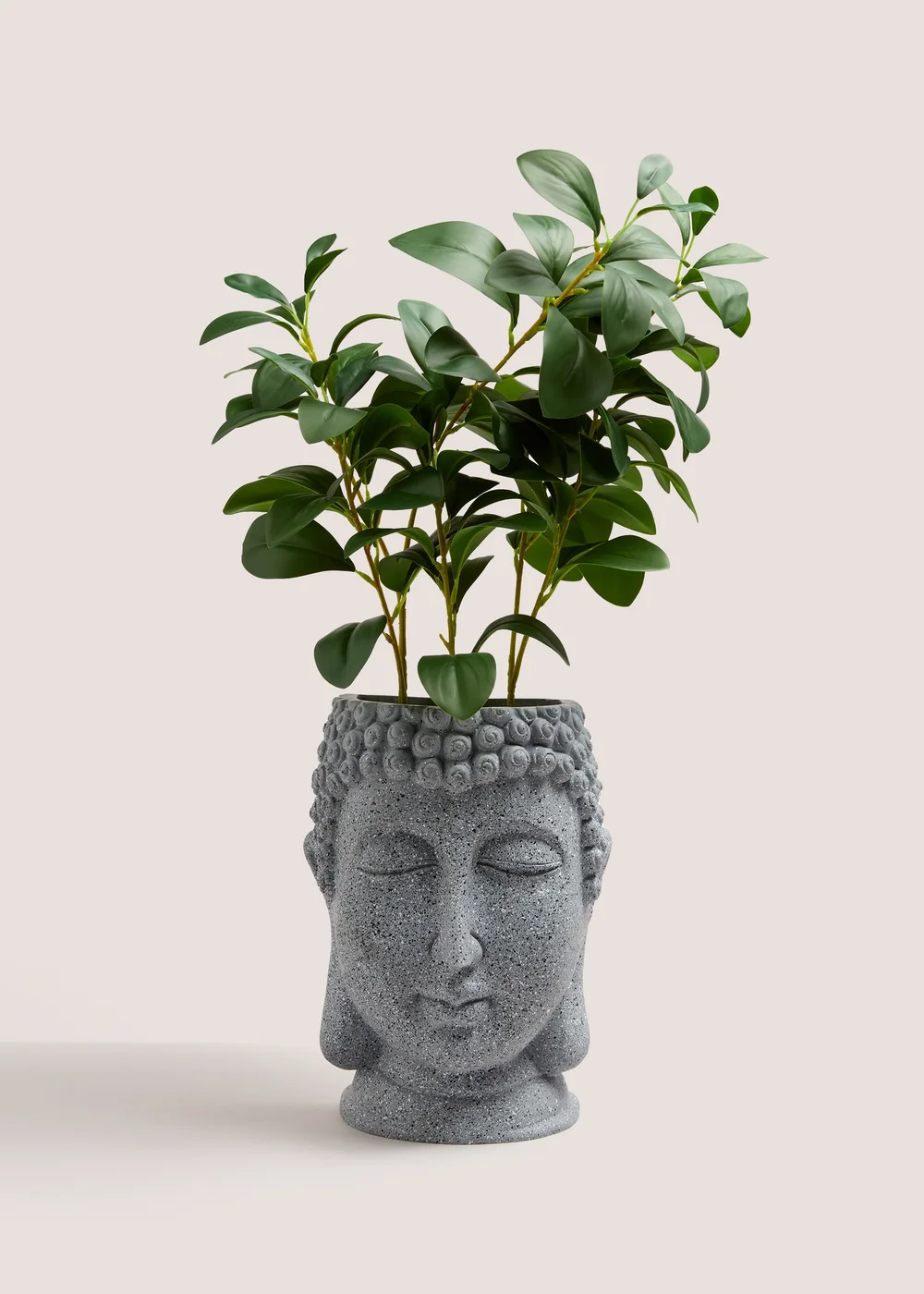 Grey Buddha Head Plant (70cm x 21cm x 12cm) Image 1