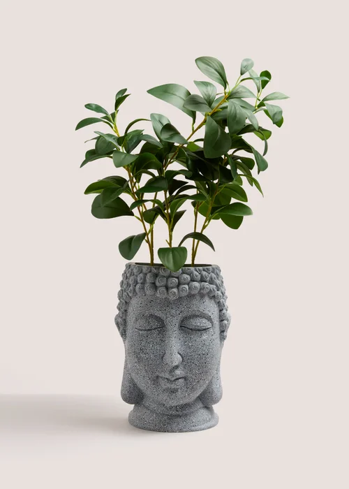 Grey Buddha Head Plant (70cm x 21cm x 12cm) Image 1