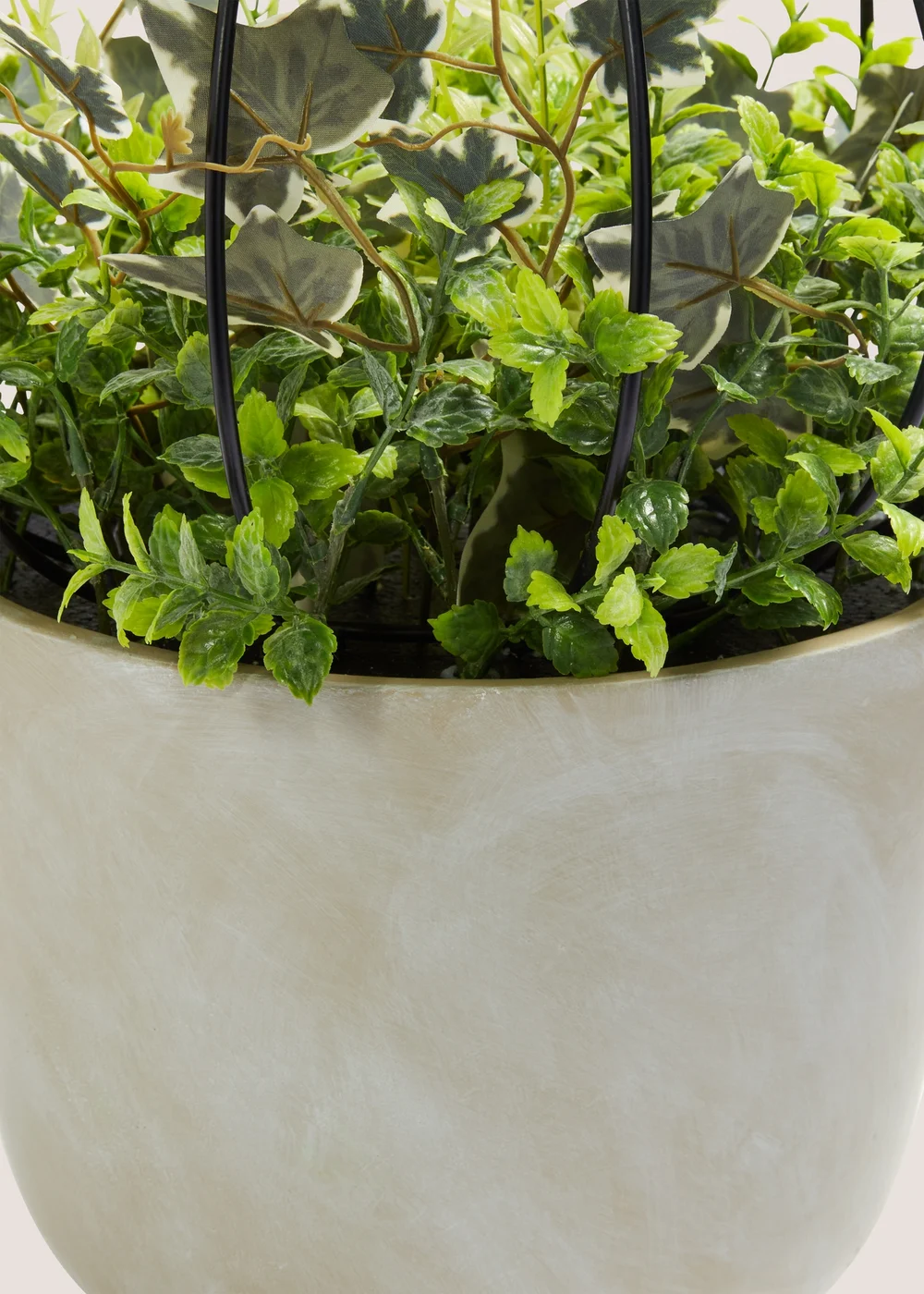 Green Arrangement in Cement Pot (35cm x 35cm x 48.5cm) Image 2