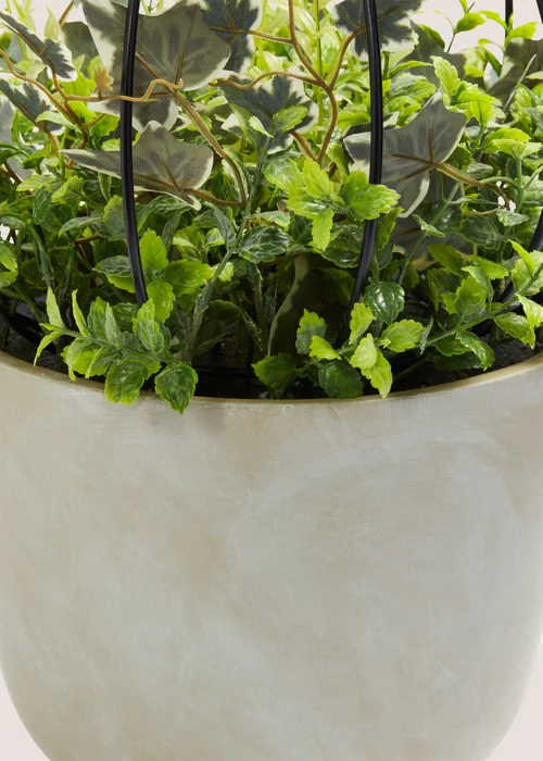 Green Arrangement in Cement Pot (35cm x 35cm x 48.5cm) Image 2