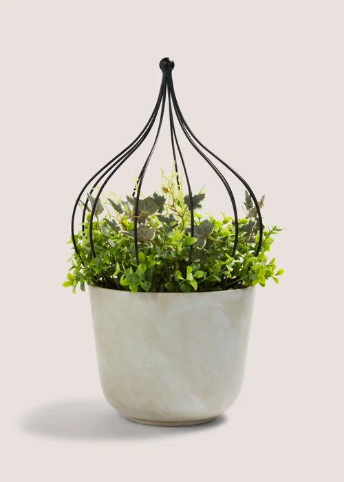 Green Arrangement in Cement Pot (35cm x 35cm x 48.5cm) Image 1