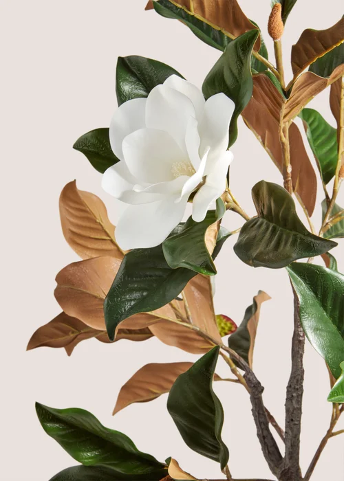 Magnolia Tree (120cm x 40cm x 40cm) Image 2