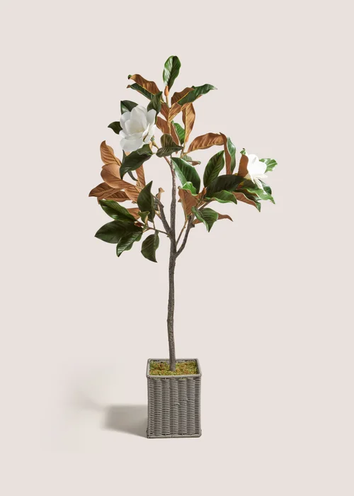 Magnolia Tree (120cm x 40cm x 40cm) Image 1