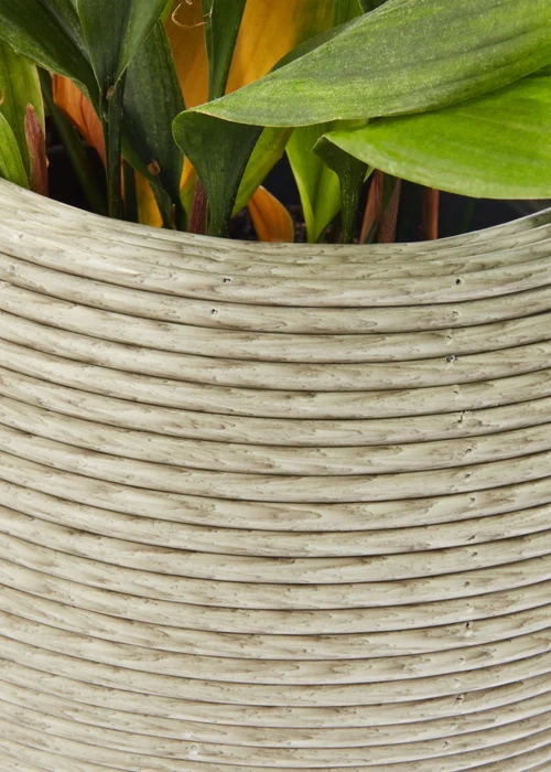 Outdoor Small Cream Plastic Woven Planter (26cm x 40cm) Image 2