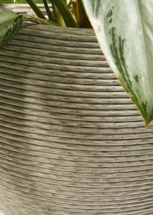 Outdoor Cream Plastic Woven Planter (30cm x 30cm x 60cm) Image 2