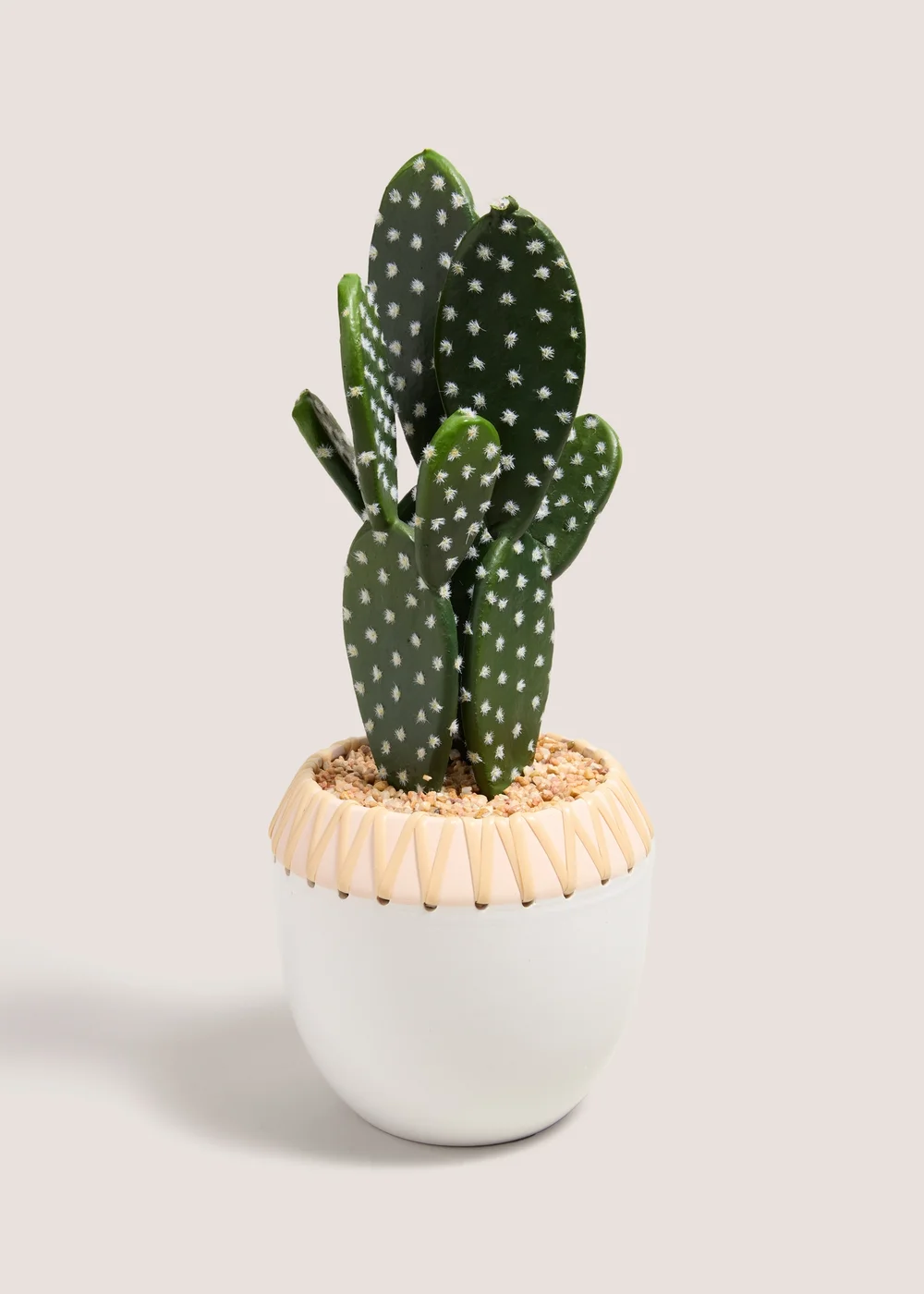 Cactus Plant (50cm x 22cm x 18cm) Image 1