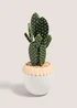 Cactus Plant (50cm x 22cm x 18cm) Image 1