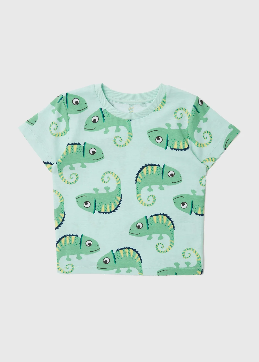Boys Mint Chameleon Print T-Shirt ( 1-7yrs) - 1-1.5 Yrs Image 1