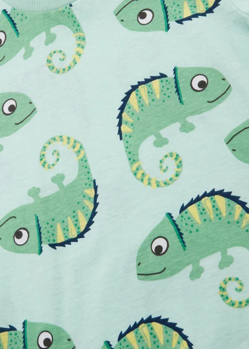 Boys Mint Chameleon Print T-Shirt ( 1-7yrs) - 1-1.5 Yrs Image 2