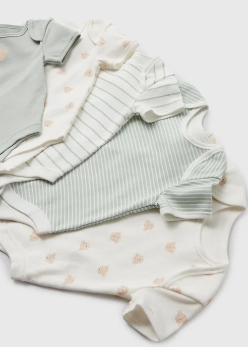 Baby 5 Pack Sage Bear Print Bodysuit (Newborn-23mths) - 0-3 months Image 2