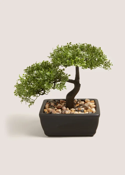 Green Bonsai Rectangular Pot (23cm x 17cm x 23cm) Image 1