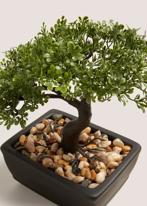 Green Bonsai Rectangular Pot (23cm x 17cm x 23cm) Image 2