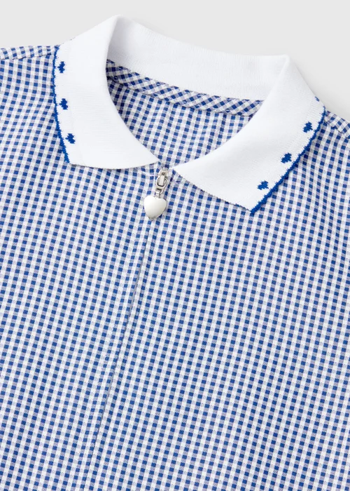 Girls Navy Gingham Knit Collar School Dress (3-14yrs) - 3 Yrs Image 2