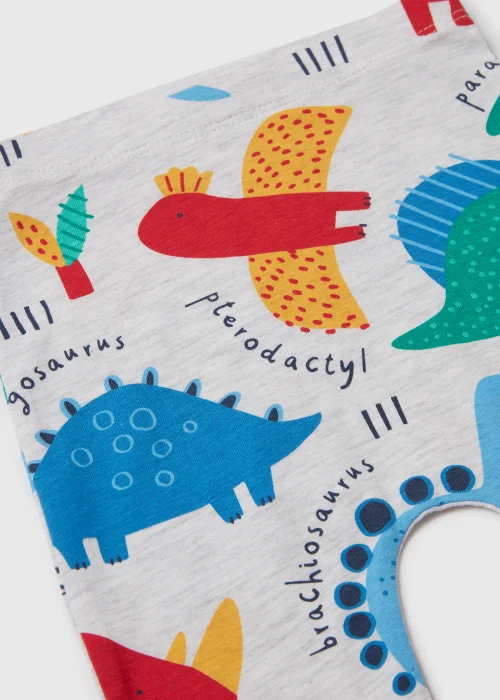 Baby Grey Marl Dinosaur Leggings (Newborn-23mths) - Newborn Image 2