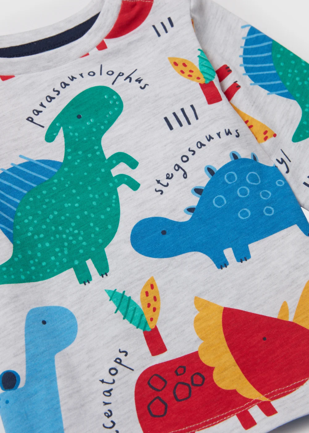 Boys Grey Marl Dinosaur Print Long Sleeve T-Shirt (Newborn-23yrs) - 0-3 months Image 2