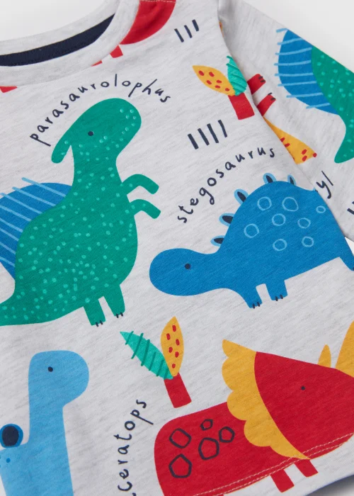 Boys Grey Marl Dinosaur Print Long Sleeve T-Shirt (Newborn-23yrs) - 0-3 months Image 2