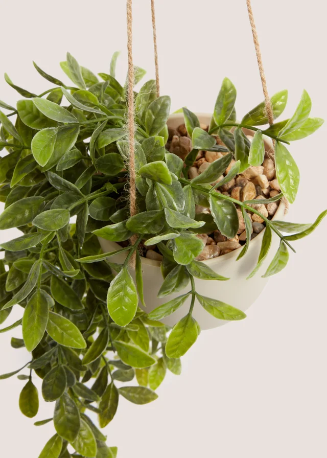 Hanging Plastic Plant Pot