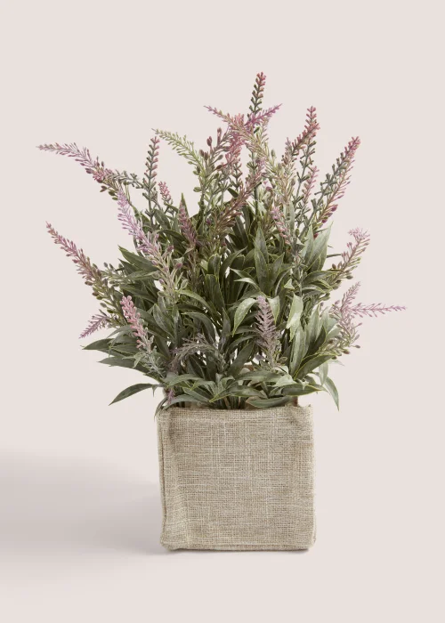 Lavender In Woven Pot (36cm x 11cm x 11cm) Image 1