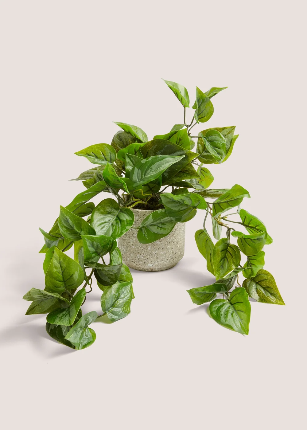 Trailing Plant in Speck Pot (24cm x 13cm x 13cm) Image 1