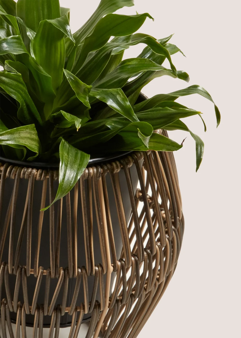 Small Wireframe Plastic Planter (19cm x 15cm x 15cm) Image 2