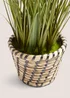 Faux Plant in Casa Woven Pot (40cm x 30cm x 30cm) Image 2