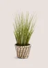 Faux Plant in Casa Woven Pot (40cm x 30cm x 30cm) Image 1