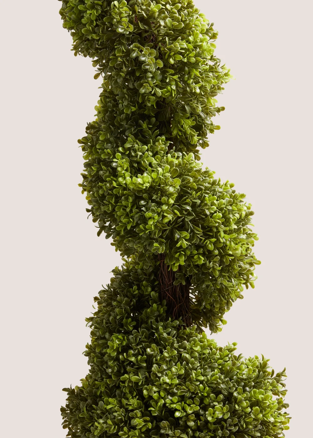 Spiral Topiary (24x24x113cm) Image 2