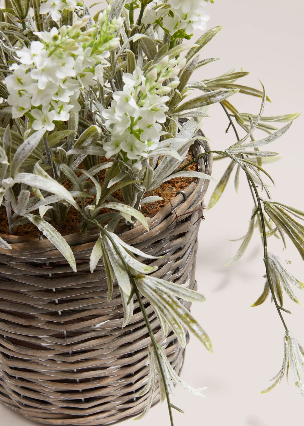 Outdoor Lavender Hanging Basket (27cm x 27cm x 39cm) Image 2