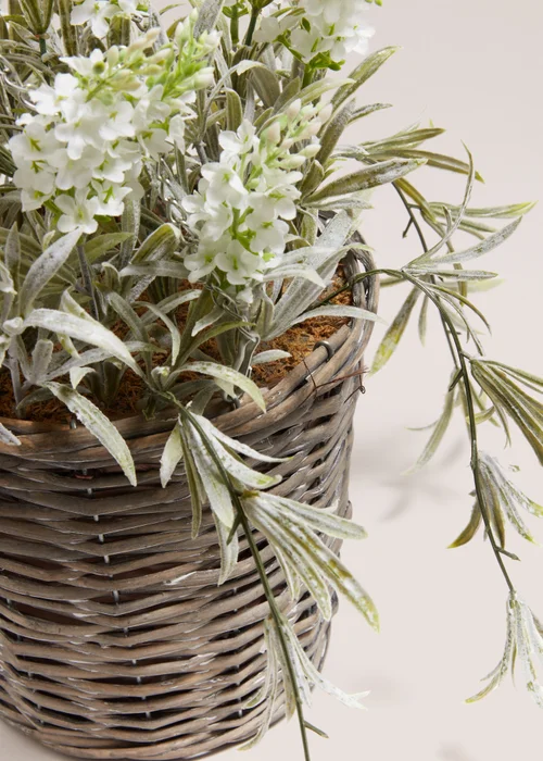 Outdoor Lavender Hanging Basket (27cm x 27cm x 39cm) Image 2