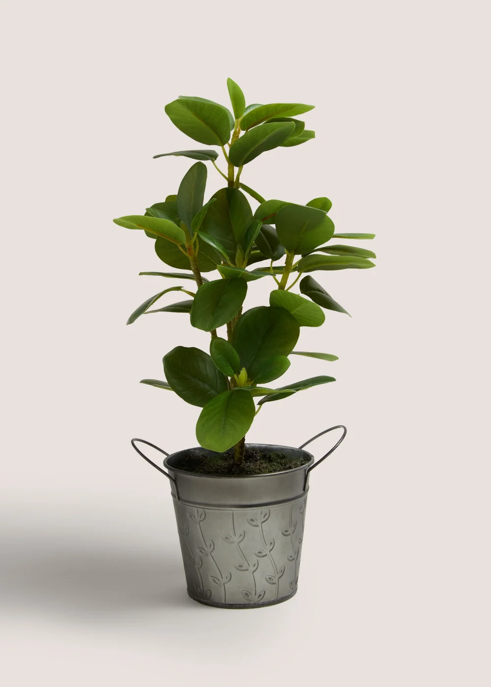 Leafy Plant in Silver Pot (18cm x 18cm x 42cm) Image 1