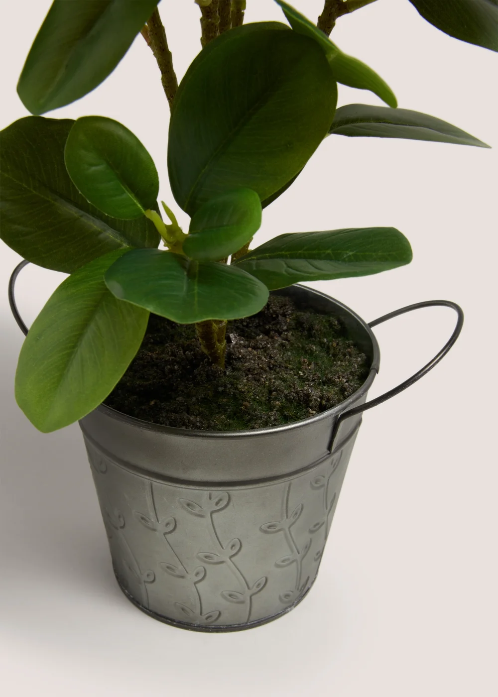 Leafy Plant in Silver Pot (18cm x 18cm x 42cm) Image 2