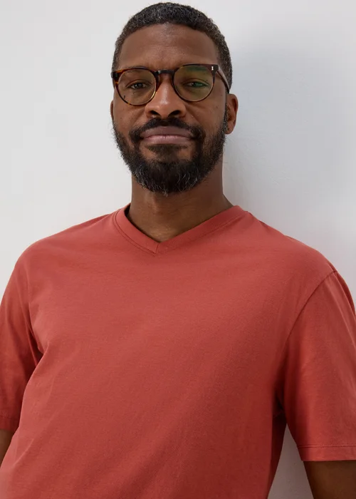 Tuscan Red V Neck Essential T-Shirt - Small Image 3