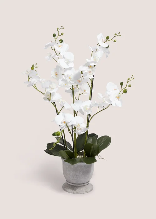 Plastic Orchid In Cement Urn Pot (24cm x 24cm x 76cm) Image 1