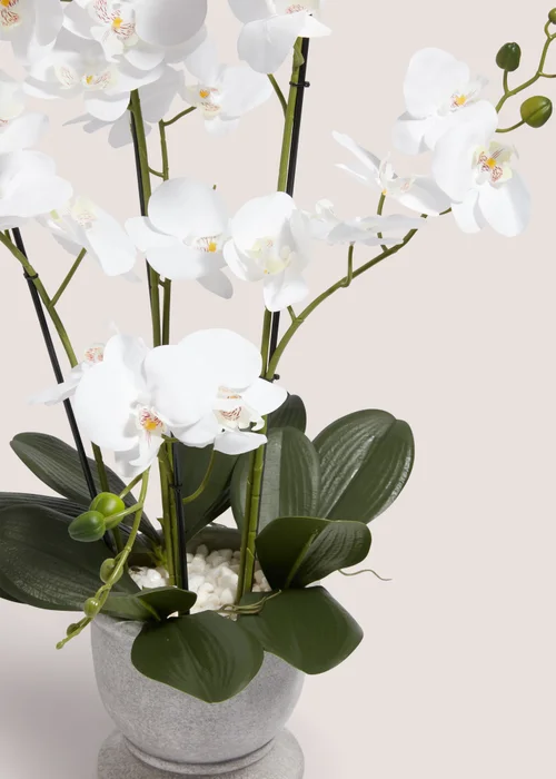 Plastic Orchid In Cement Urn Pot (24cm x 24cm x 76cm) Image 2