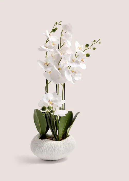 Orchid In Resin Shell Pot (41cm x 31cm x 70cm) Image 1