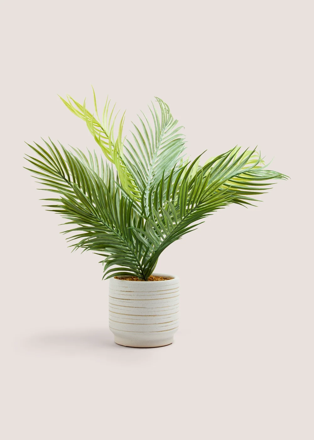 Palm Ribbed Ceramic Pot (60cm x 50cm x 50cm) Image 1